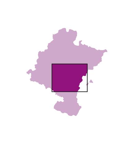 Mapa de Navarra resaltando la zona Media